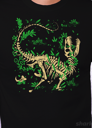 Raptor Fossil