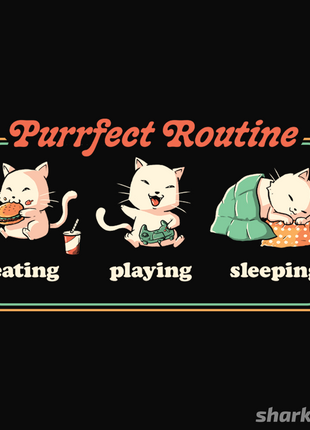 Purrfect Routine