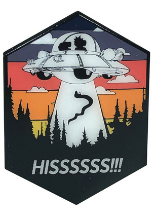 Rick and Morty Snake Abduction Enamel Pin